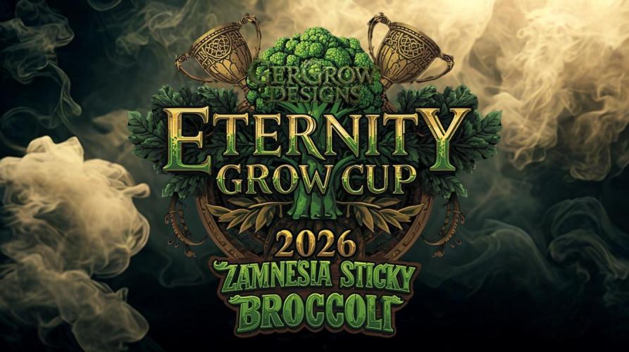 🥦Eternity Grow Cup |GGD. Week 0