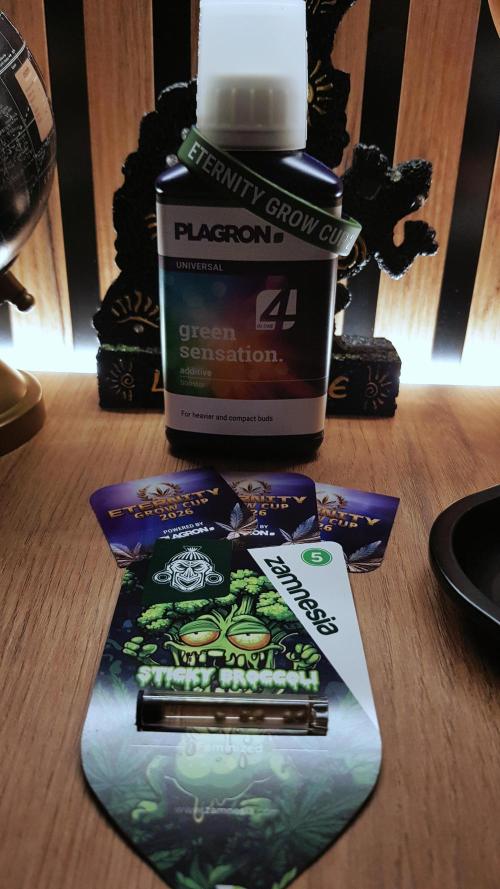 🥦Eternity Grow Cup |GGD. Week 0