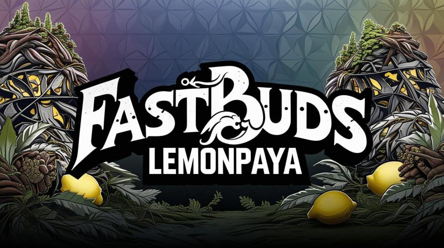 Fruity Fusion. Week 13