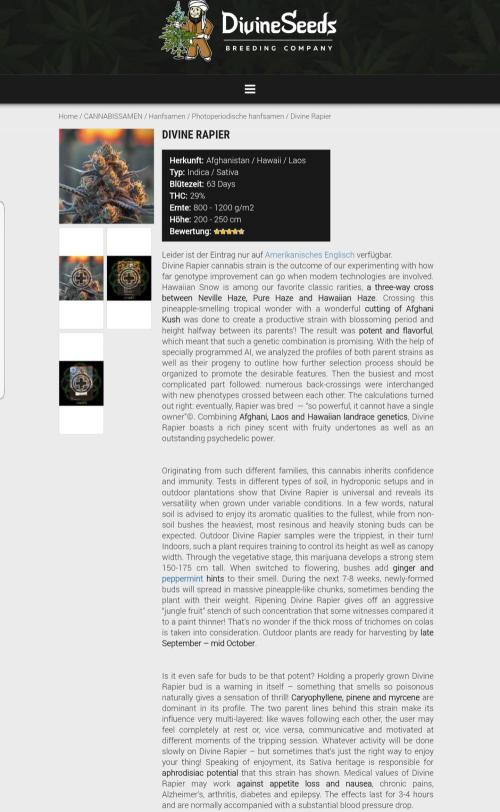 Ultimate Rapier Hunt. Week 13