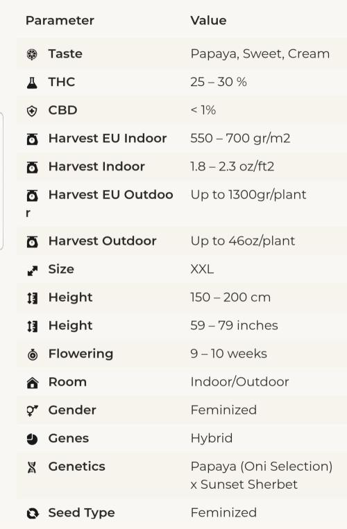 Sherbet with Paya. Week 14
