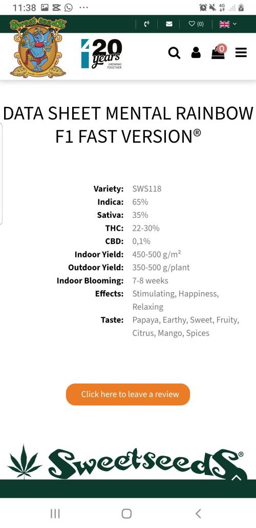 Rainbow Dreams. Week 14