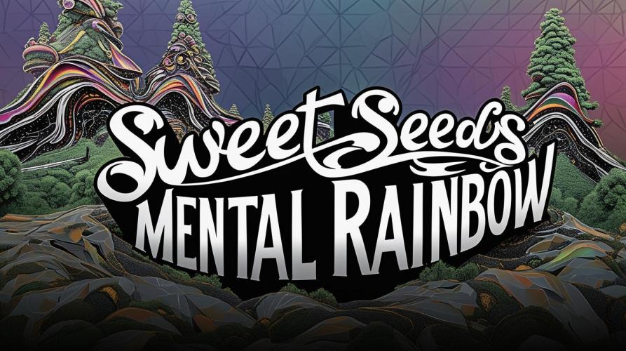 Rainbow Dreams. Week 15