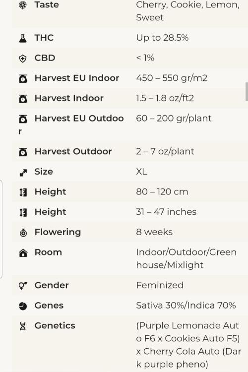 Fruity Cookies. Week 2