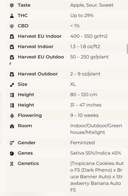 Catching The Apples. Week 2