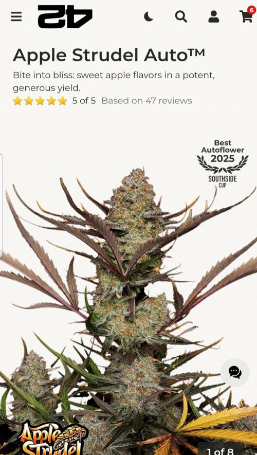 Catching The Apples. Week 2