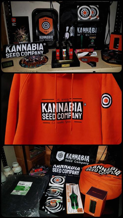 NEW BioBoost Seeds. Week 2