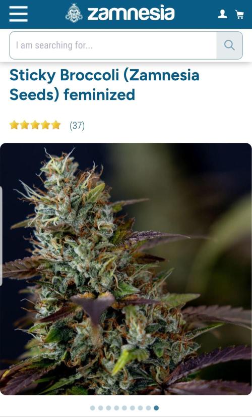 🥦Eternity Grow Cup |GGD. Week 3