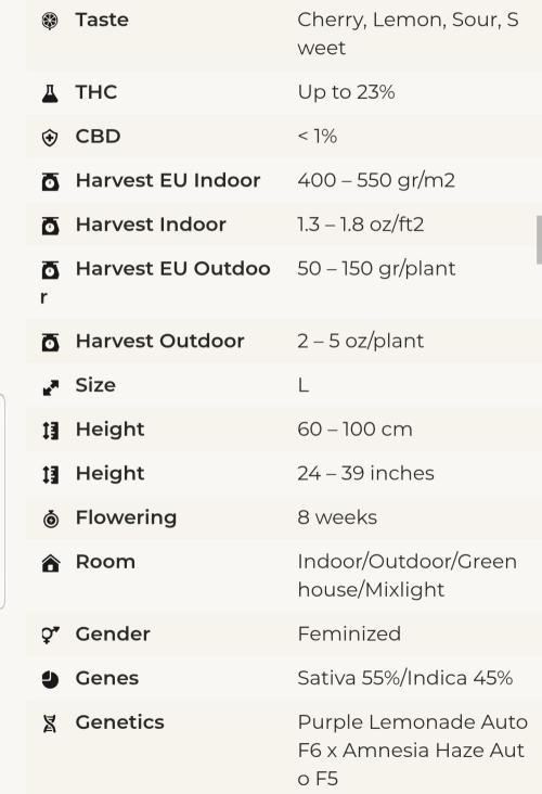 Haze goes Purple. Week 3