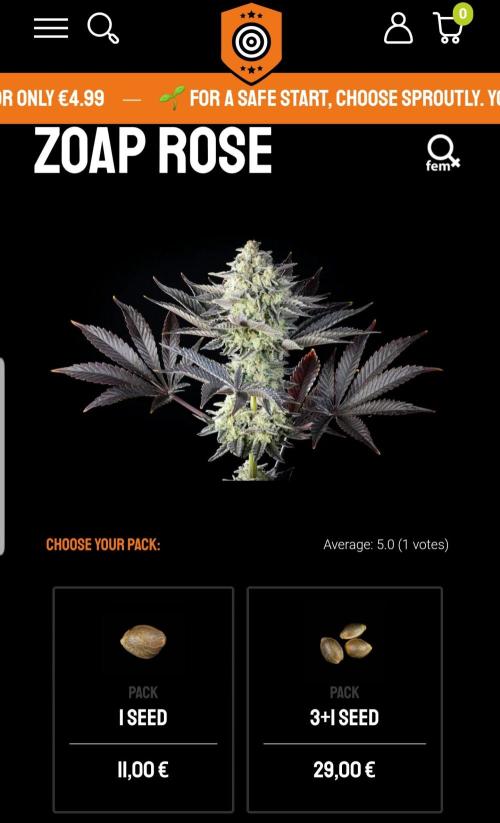 Rosé Meets Zoap. Week 3