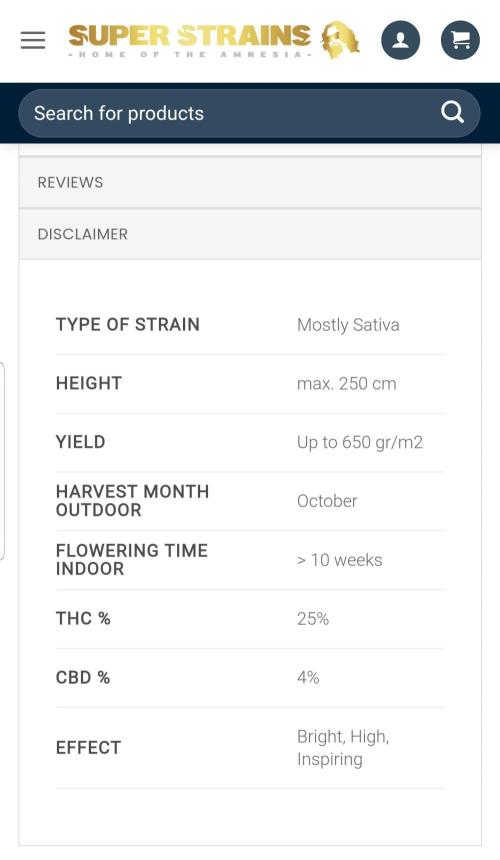 Home Of The Amnesia. Week 3