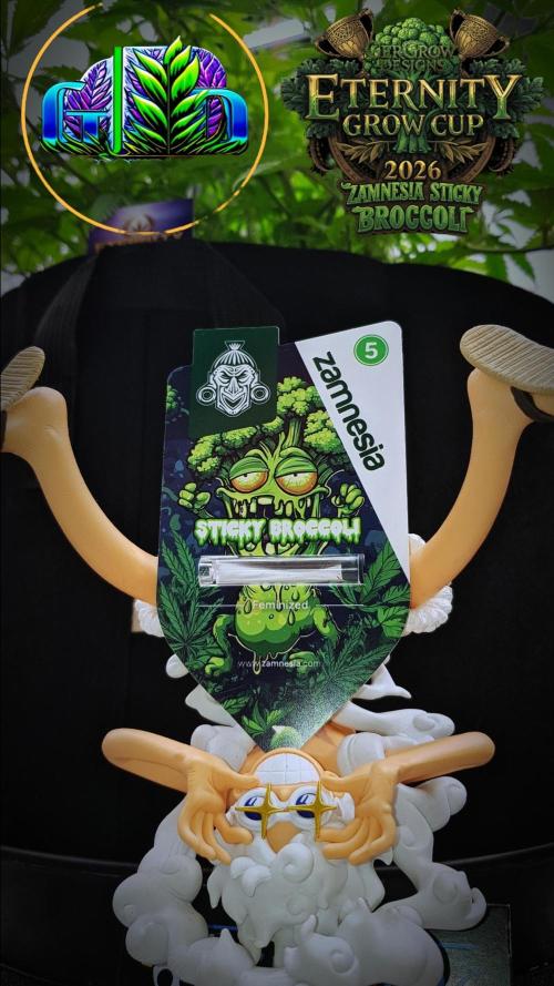 🥦Eternity Grow Cup |GGD. Week 4