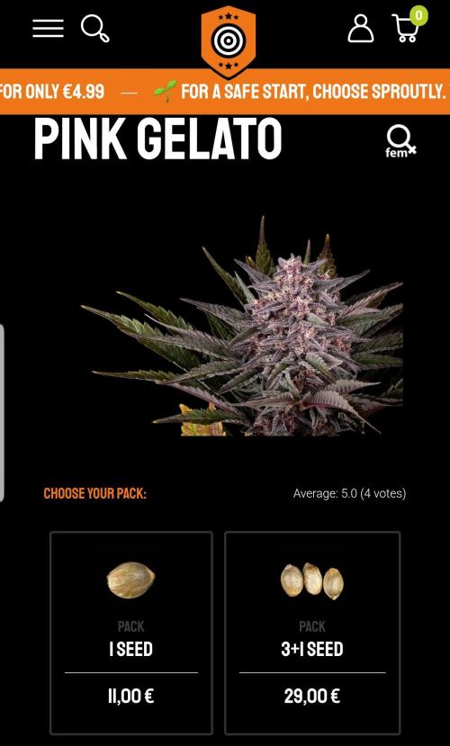 Gelato goes Pink. Week 4