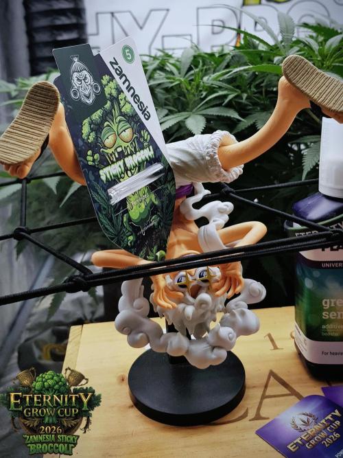 🥦Eternity Grow Cup |GGD. Week 5 - Sun God Covering Sticky Broccoli 