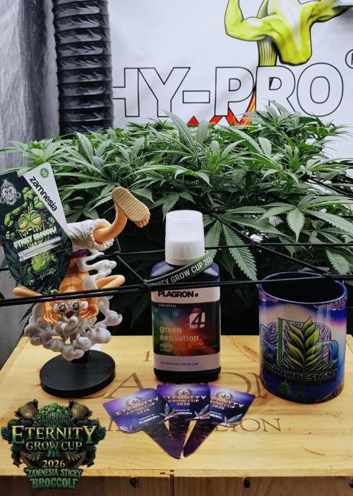 🥦Eternity Grow Cup |GGD. Week 5 - Sticky Broccoli Veg Week 5
