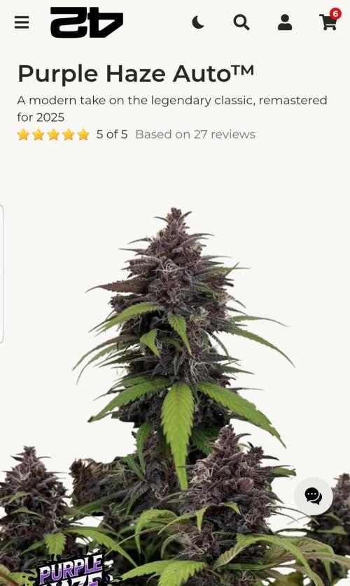 Haze goes Purple. Week 10