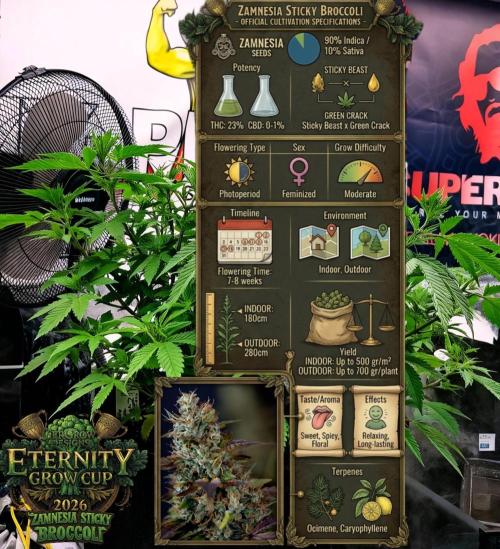 🥦Eternity Grow Cup |GGD. Week 13