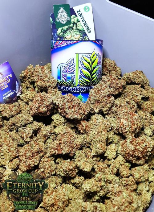🥦Eternity Grow Cup |GGD. Week 16