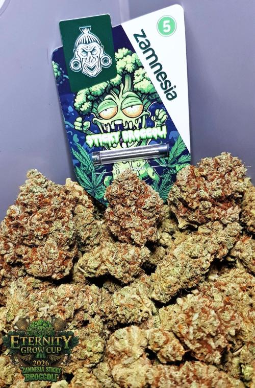 🥦Eternity Grow Cup |GGD. Week 16