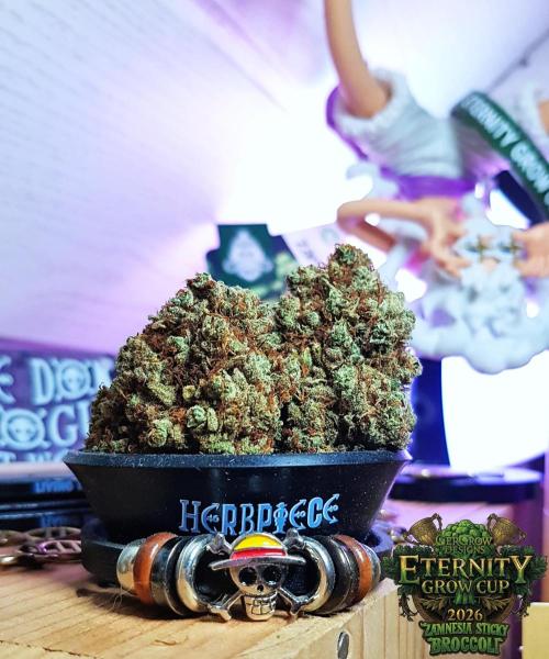 🥦Eternity Grow Cup |GGD. Week 16
