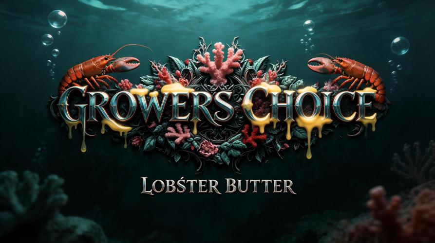 Going Undersea. Week 11