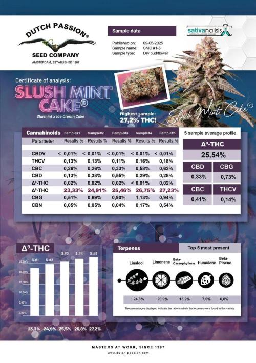 Secret Cake. Week 11