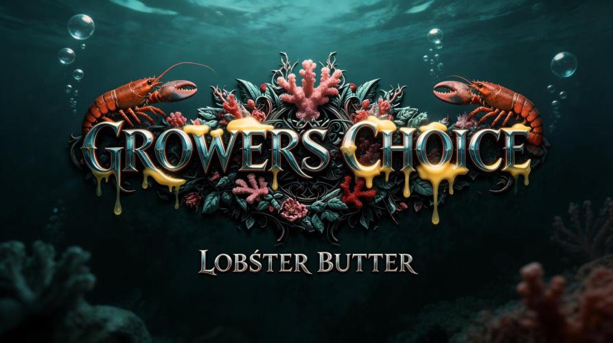Going Undersea. Week 12