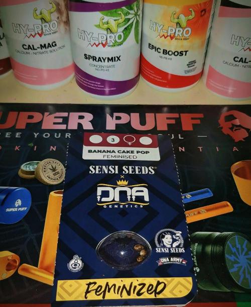 Grow Cup Pop. Week 0