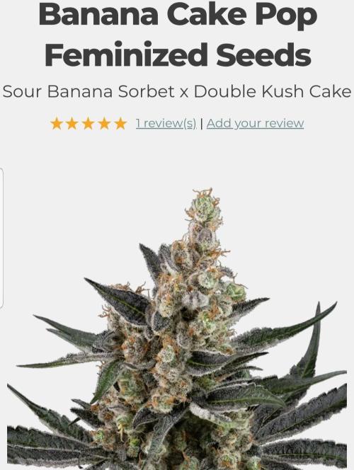 Grow Cup Pop. Week 0