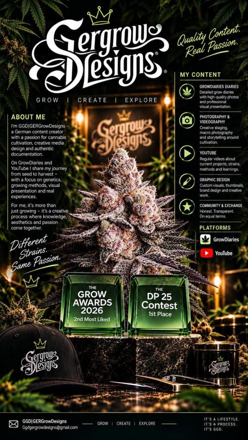 GGD Season 2 - Strawberry Cola Sherbet. Week 12