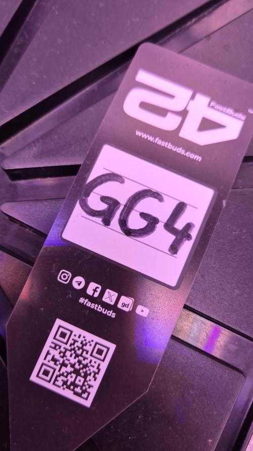 GG4 - FastBuds