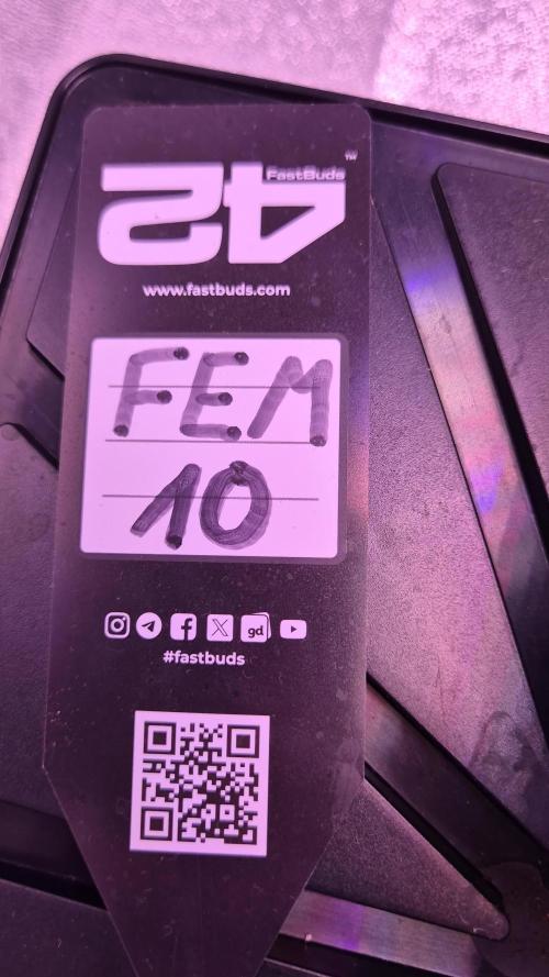 Fem10 - Photoperiodic TestSeed FastBuds