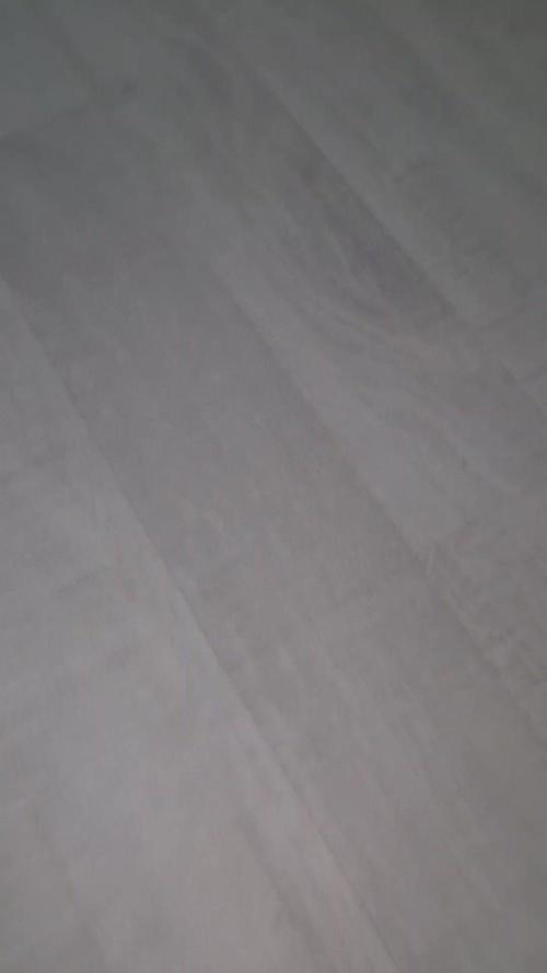 🥦Sticky Broccoli - EC 2026🏆