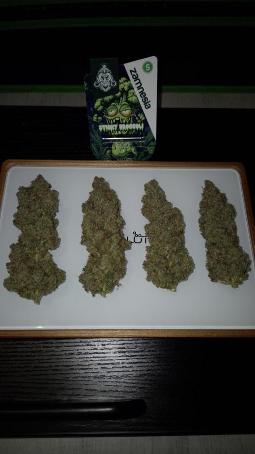 🥦Sticky Broccoli - EC 2026🏆. Week 19