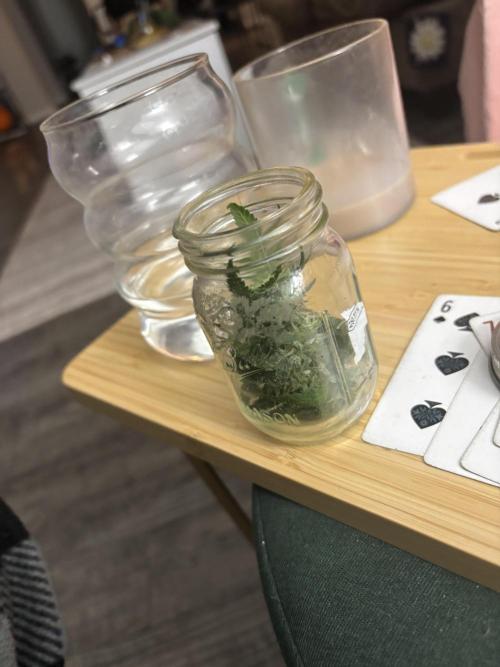 Three random seeds. Week 11