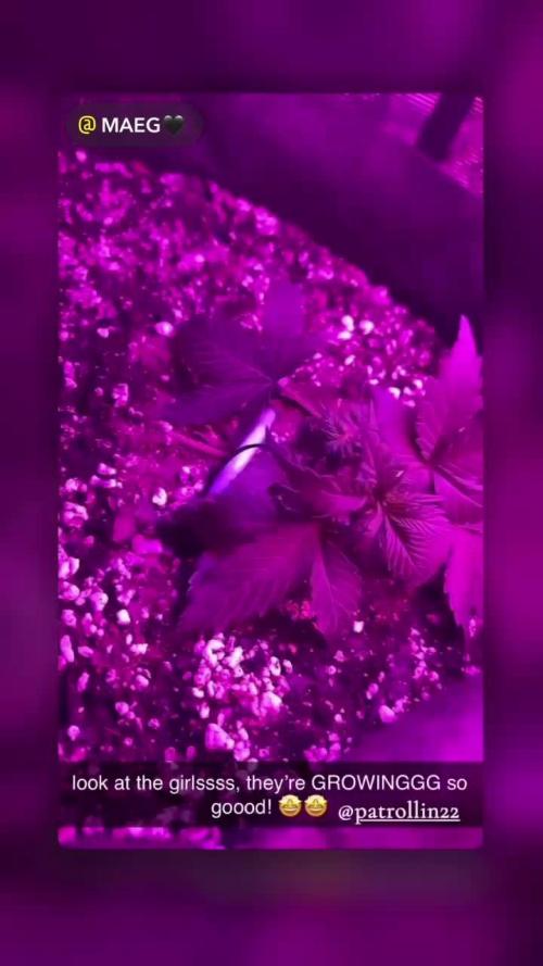 Whiskey Zulu mendo2020