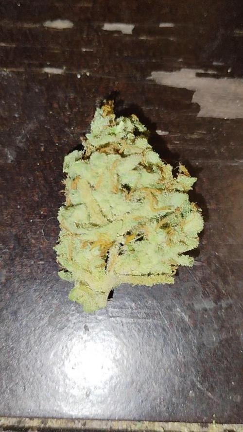 ROYAL Runtz Auto