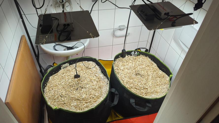 Living Soil. Week 0 - Zwei 60 Liter Stofftöpfe