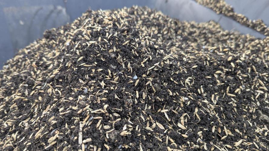 Living Soil. Week 0 - Die fertige Erde