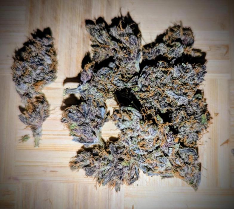 Living Soil Cookies. Week 11