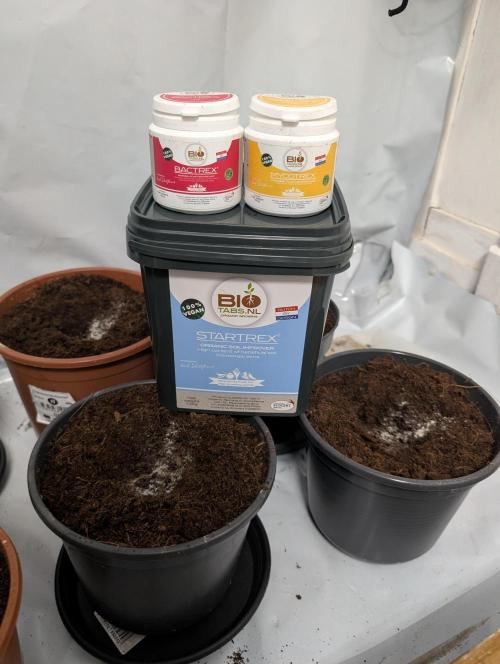 THC - Victory #2 - Sponsored by Biotabs. Week 0