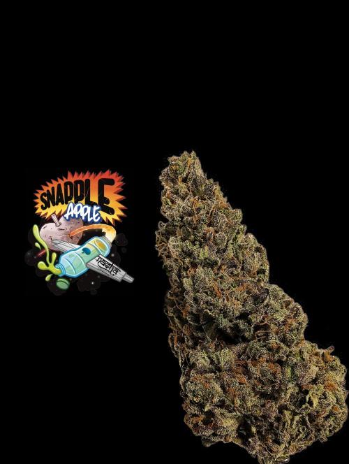 Snapple Apple - Sponsored by Biotabs. Week 17