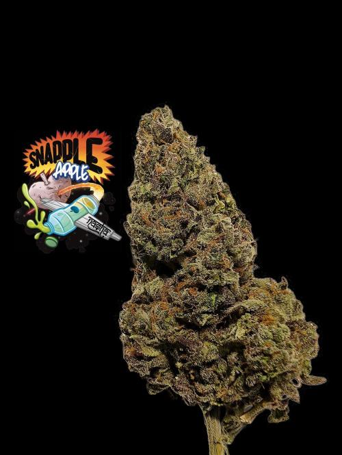 Snapple Apple. Week 17
