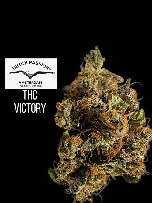 THC - Victory #2 - Sponsored by Biotabs. Week 18