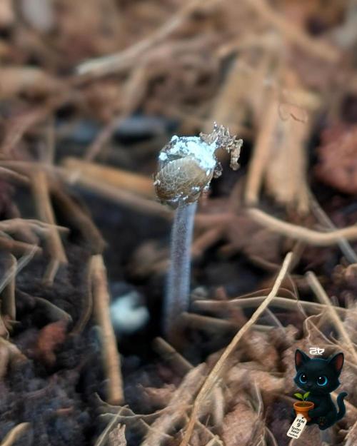 FEM 9 Photo Tester - Catlife420. Week 1 - 10-26
Day 2