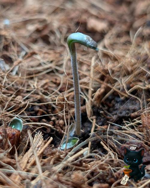 FEM 9 Photo Tester - Catlife420. Week 1 - 10-26
Day 2