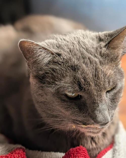 FEM 9 Photo Tester - Catlife420. Week 5 - 11-27
Day 34
Einstein