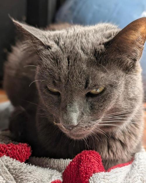 FEM 9 Photo Tester - Catlife420. Week 5 - 11-27
Day 34
Einstein