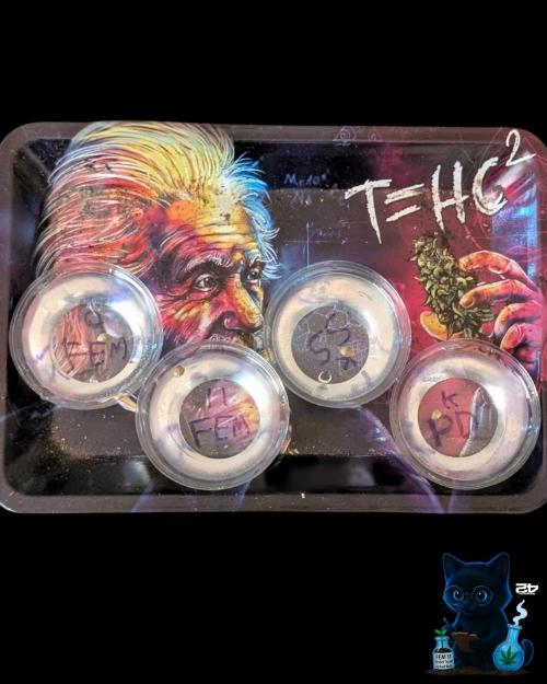 FEM 11 Photo Tester. Week 0 - 10-21