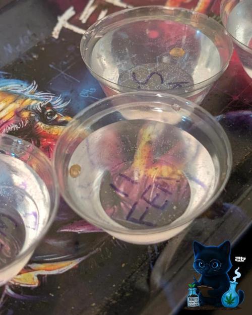 FEM 11 Photo Tester. Week 0 - 10-21